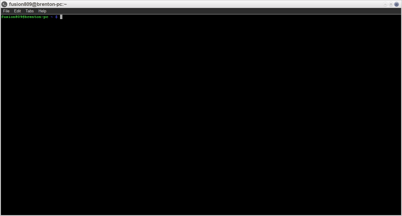 LXTerminal 0.2.0 running under Moksha