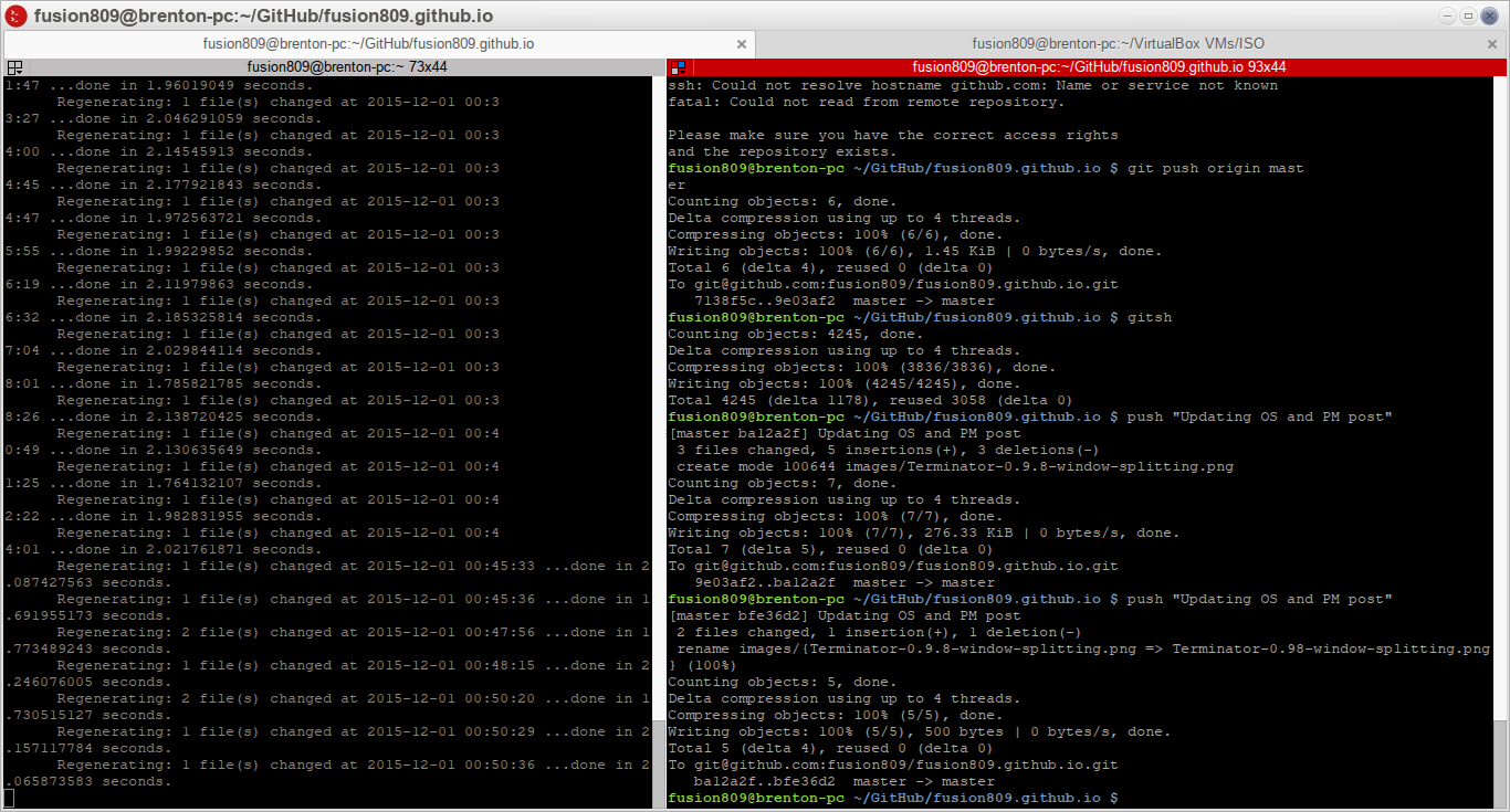 Terminator 0.98 running under Moksha, while I work on my blog in both windows