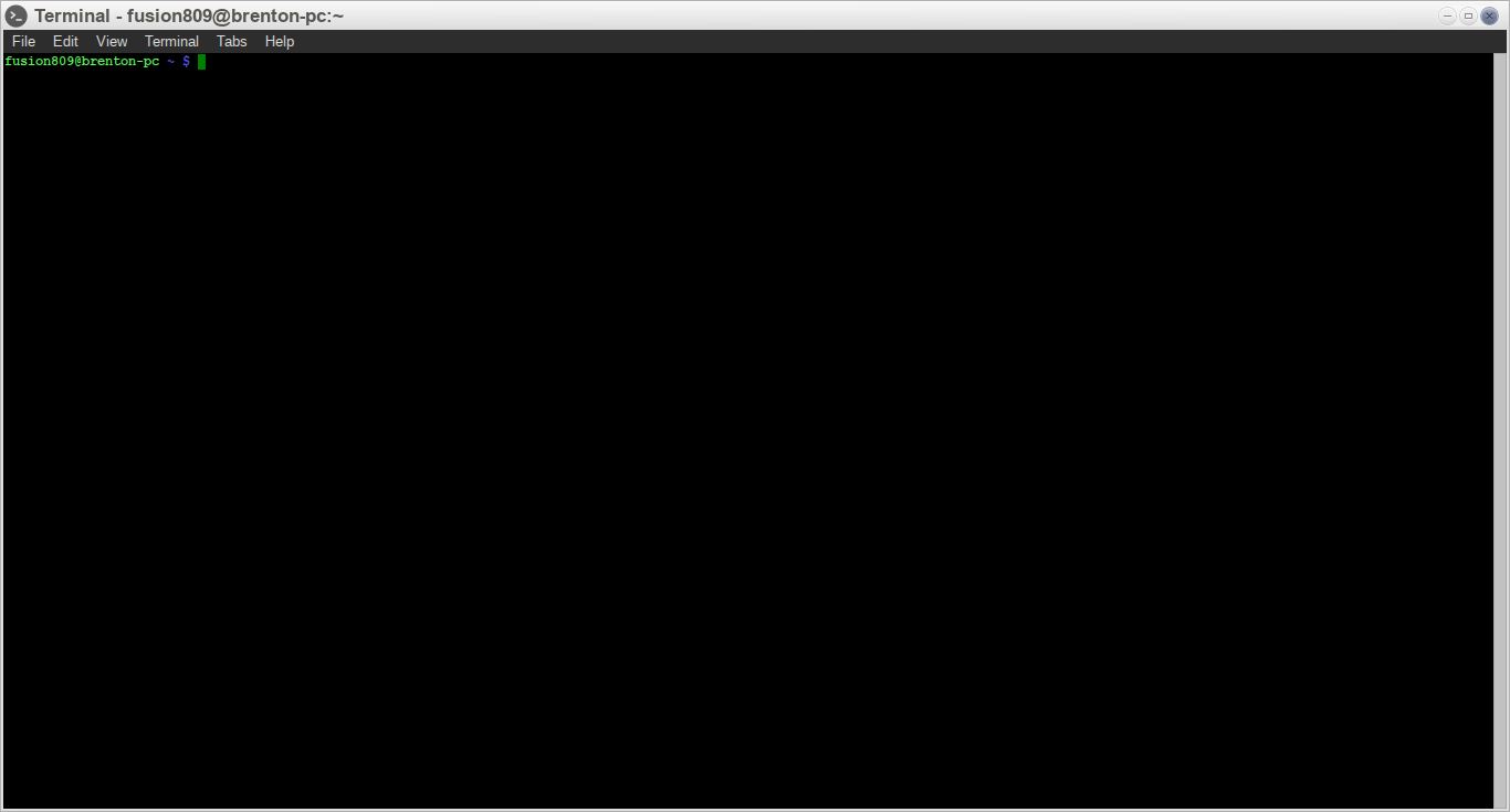 Xfce4 Terminal 0.6.3 running under Moksha